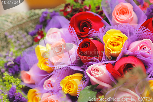 Image of colourful rose