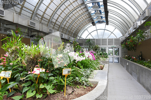 Image of greenhouse