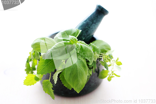 Image of herbs