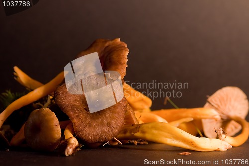 Image of Chanterelles