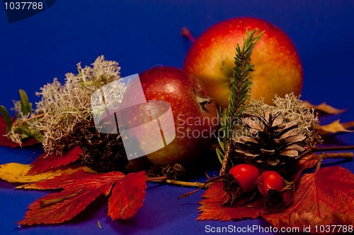Image of Autumn