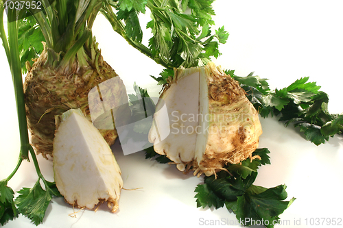 Image of Celery
