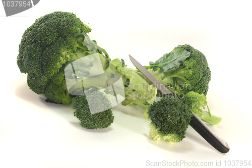 Image of Broccoli
