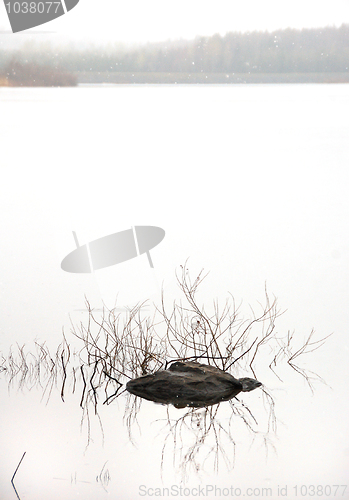 Image of Water reflection