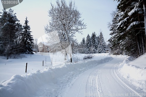 Image of Winter