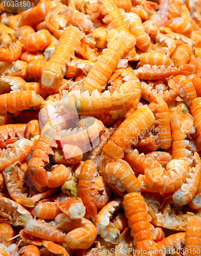 Image of Prawns at the Rialto Market