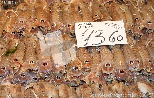 Image of Adriatic prawns in Venice