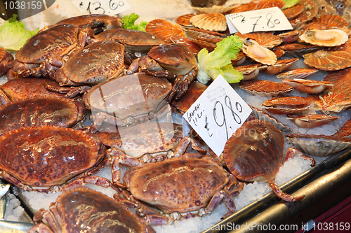 Image of Crab at the Rialto