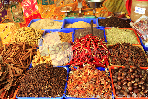 Image of Curry spices at Varkala