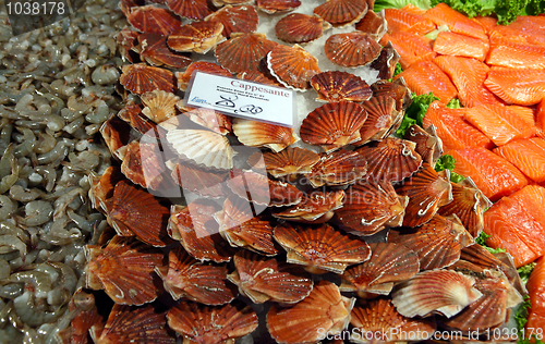 Image of Clams, salmon and prawns