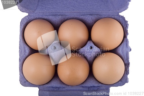 Image of brown hens eggs in blue egg carton