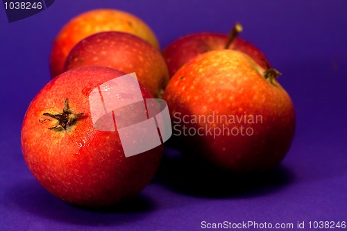 Image of red apples