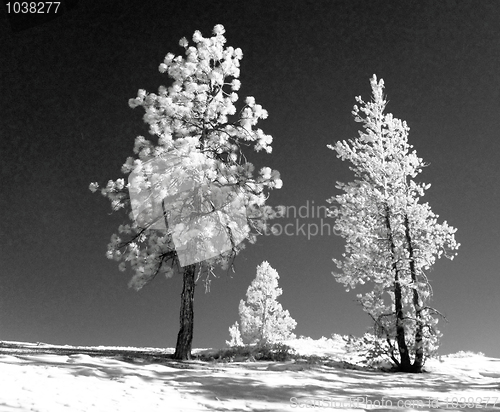 Image of Infrared landscape