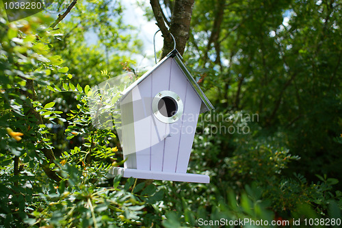 Image of Bird house