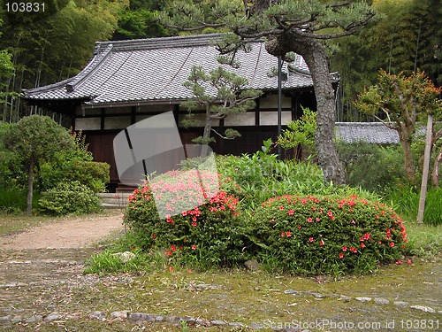 Image of Rustic Japanese yard