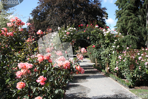 Image of Christchurch botanic garden