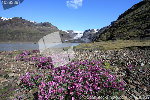 Image of Iceland