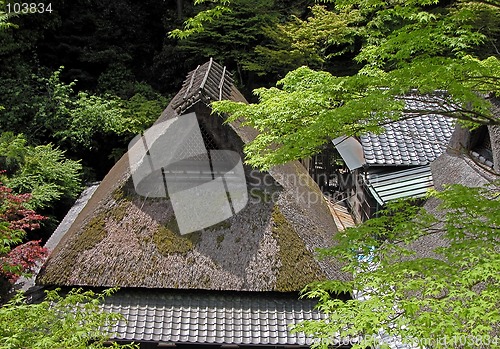 Image of Rustic houses