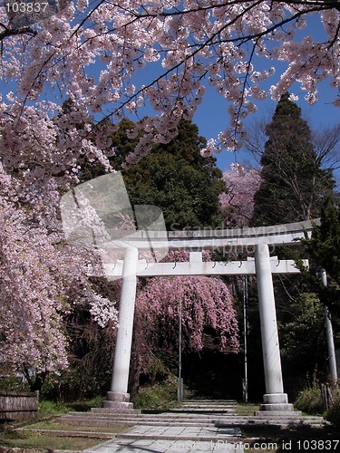 Image of Japanese spring view