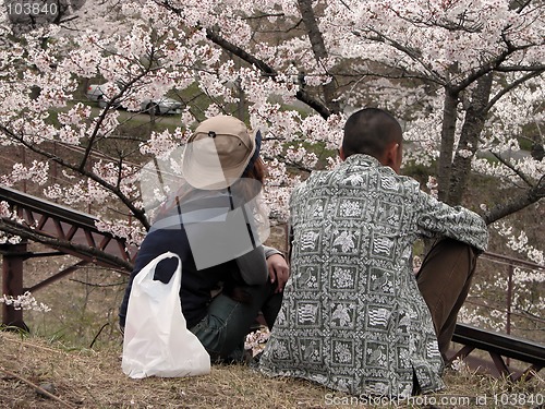 Image of Admiring the beauty