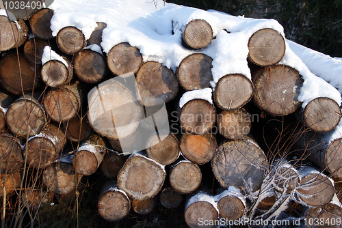 Image of Firewood Background Winter