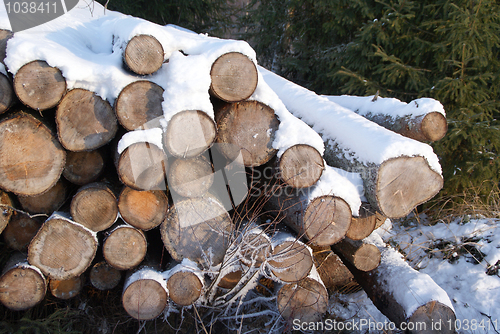 Image of Stack of Firewood in Winter Snow