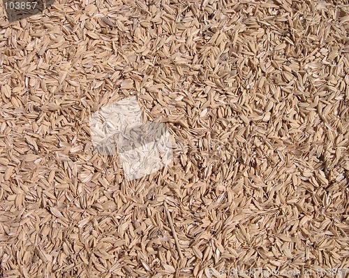 Image of Sawdust texture