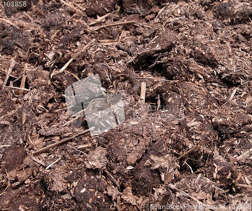 Image of Manure