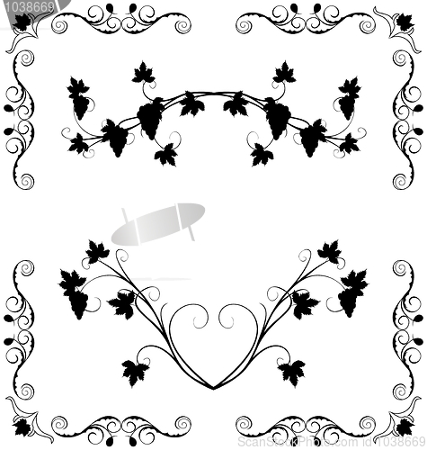 Image of Illustration the grape twig ornate