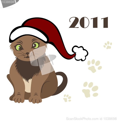 Image of new year 2011 Cat