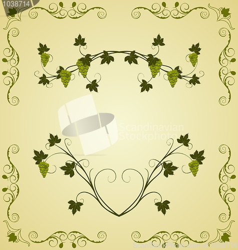 Image of Illustration the grape twig ornate
