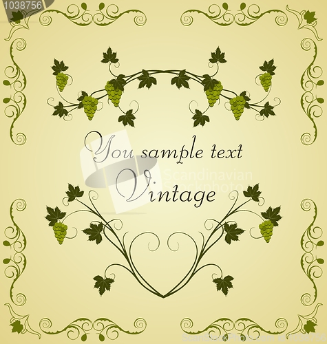 Image of Illustration the grape twig ornate