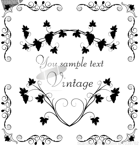 Image of Illustration the grape twig ornate