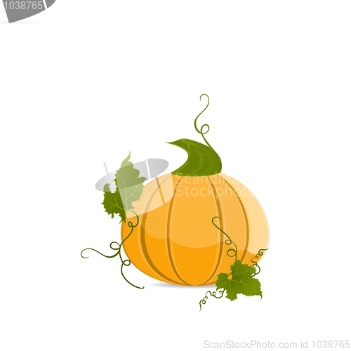 Image of Ripe orange pumpkin