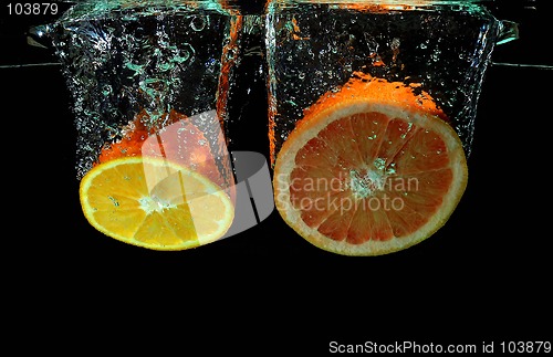 Image of Grapefruit and ornage falling into water