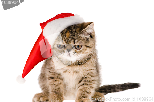 Image of kitten santa