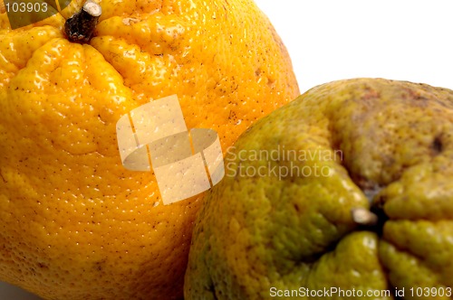 Image of fruit