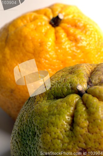 Image of tangelo