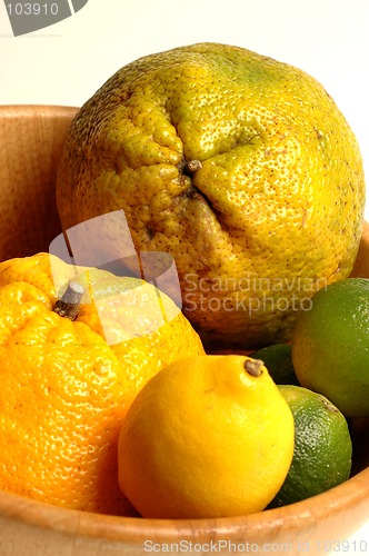 Image of citrus