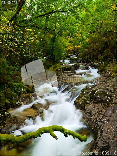 Image of Beautiful river