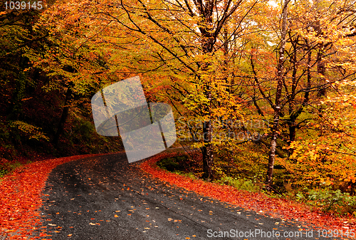 Image of Autumn landscape