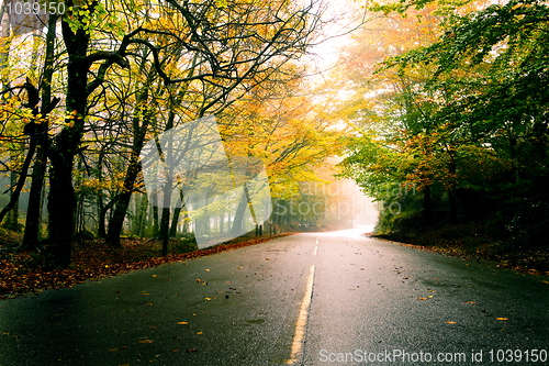 Image of Beautiful road