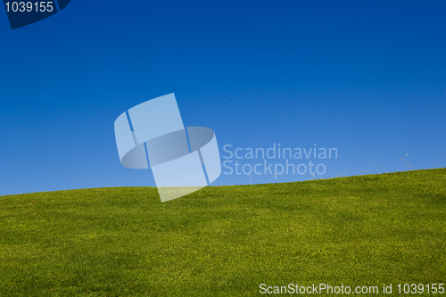 Image of Beautiful meadow og green grass with a gret blue sky
