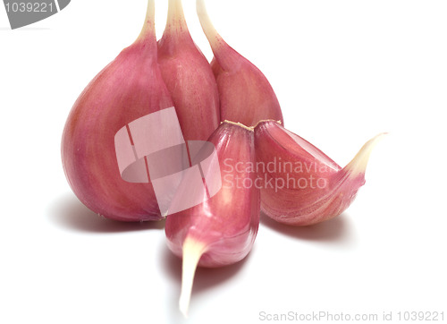 Image of Garlic.