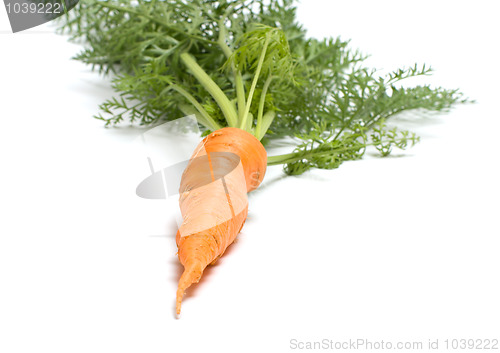 Image of Carrot.