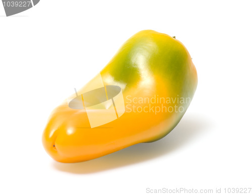 Image of Pepper.