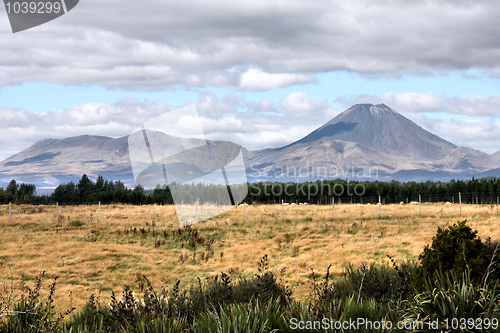 Image of Volcano in New Zealand