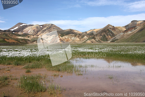 Image of Iceland