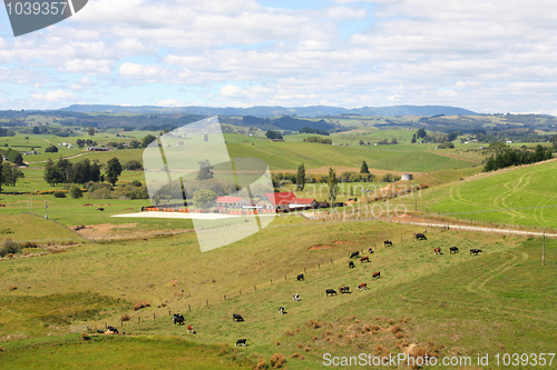 Image of New Zealand