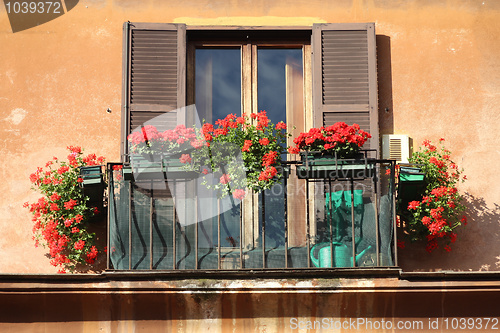 Image of Window flowers